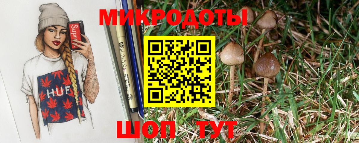 Галлюциногенные грибы Cubensis Зима