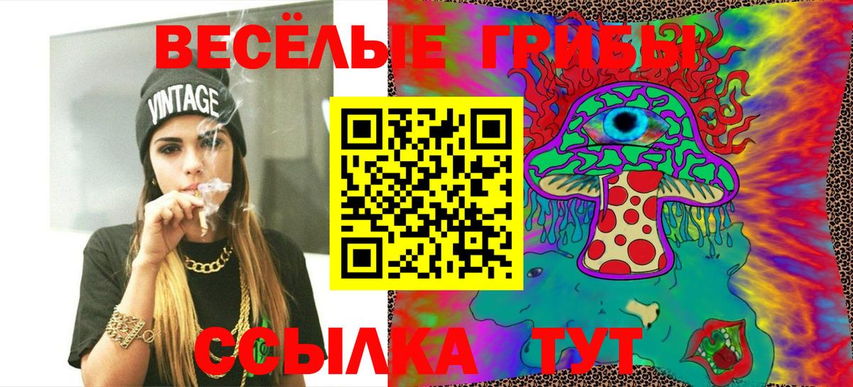 Галлюциногенные грибы Psilocybe  Вход с VPN  Зима 
